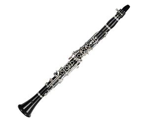 Lechgold BK-20/22 Clarinetto Bb tedesco, 22 chiavi, 6 anelli, corpo grenadilla, meccanica nickel silver argentato. Include 2 ance, bocchino e custodia morbida.