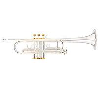 Lechgold CTR-18S Tromba in C argentata, Modello: CTR-18S, Intonazione: C