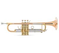 Lechgold TR-14G Tromba in Sib (per principianti e avanzati, valvole in acciaio inox, incl. custodia, bocchino, panno per la pulizia) Bronzo fosforoso