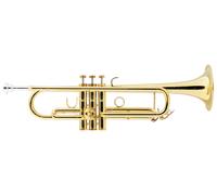 Lechgold Tromba Jazz in Bb Laccata Ottone 3 Pistoni Set Bocchino Valigetta
