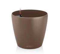 Lechuza Vaso - CLASSICO Color 28 - noce moscata