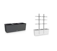 Lechuza Cottage Trio 100 centimetri largo Rattan sguardo Granit Auto Watering Tr