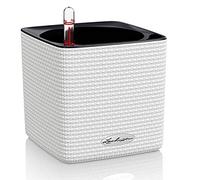 Lechuza Vaso - Cube Color 14 - bianco
