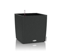 Lechuza Vaso - CUBE Cottage 30 - granito