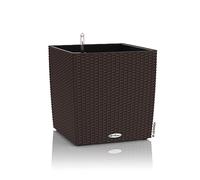 Lechuza Vaso - CUBE Cottage 30 - moca