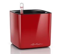 LECHUZA CUBE Glossy 14 Rosso Scarlatto High Gloss 13512