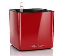 LECHUZA CUBE Glossy 16 Rosso Scarlatto High Gloss 13522