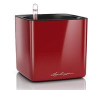 Lechuza Vaso da Tavolo - CUBE Glossy 16 - rosso scarlatto lucido
