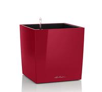 Lechuza Vaso - CUBE Premium 40 - rosso scarlatto lucido