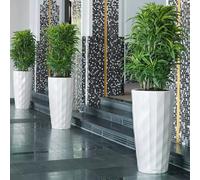LECHUZA DIAMANTE Premium bianco opaco 15701