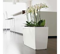 Lechuza Fioriera Rettangolare CARARO 75x30 H43 Vaso con Auto irrigazione Bianco Lucido
