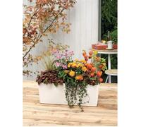 LECHUZA Jardiniere Balconera Colore 50 ALL-IN-ONE Bianco 15670