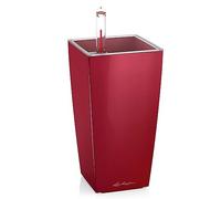 Lechuza Vaso da Tavolo - MINI CUBI - rosso scarlatto lucido