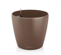 Lechuza Vaso - CLASSICO Color 18 - noce moscata