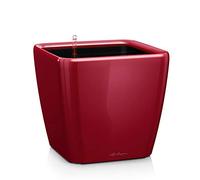 LECHUZA QUADRO Premium LS 21 rosso scarlatto lucido 16127