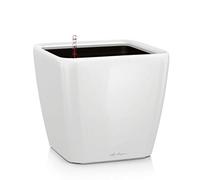 LECHUZA QUADRO Premium LS 43 bianco lucido, art. 16180, per interno/esterno