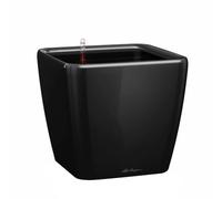 Lechuza Vaso Da Fiori - Lec - Quadro Premium Ls 50 - Nero Lucido - Con Riserva D