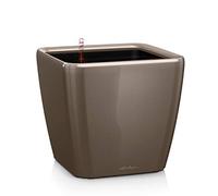 Lechuza Vaso - QUADRO Premium LS 50 - taupe lucido