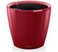 Lechuza Vaso - CLASSICO Premium 35 LS - rosso scarlatto lucido