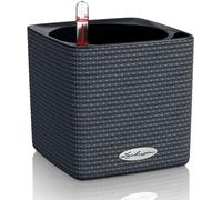 Lechuza Vaso - Cube Color 14 - grigio ardesia
