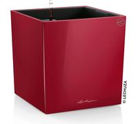 Lechuza Vaso - CUBE Premium 50 - rosso scarlatto lucido