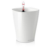 Lechuza Vaso da Tavolo - DELTINI Premium - bianco lucido