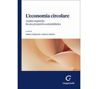 L'economia circolare. Analisi empiriche da una prospettiva aziendalistica ...