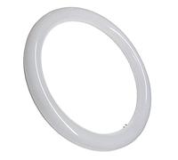 LED ATOMANT Tubo LED Circolare G10 225mm 12W Bianco Freddo | 6500K