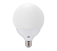 LED BASIC GLOBE D120 E27 22W 6K WHT #DWV01-12100450