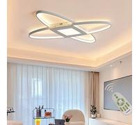 LED Ceiling Lights Dimmable Flush Mount Living Dining Room Bedroom Lamp with Remote Control, 2-Ring Fixture Acrylic Chandelier for Hallway Lounge Kitchen Lighting