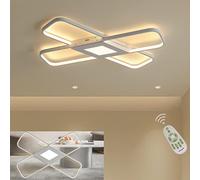 LED Ceiling Lights Dimmable Flush Mount Living Dining Room Bedroom Lamp with Remote Control, 2-Ring Fixture Acrylic Chandelier for Hallway Lounge Kitchen Lighting