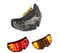 LED Coda Luce Giro Segnali Per Yamaha Fazer Fz1 2006 2007 2008 2009 2010 Fumo