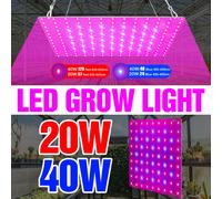 LED Coltiva Le Luci Spettro Completo Quantum Board Semi di Fiori per Interni Idroponica Serra Lampada per Coltivazione di Piante Verdure AC100-277V