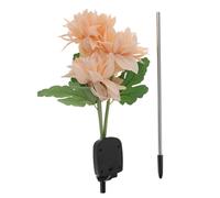 Led Da Esterno Per Cortile Paesaggio