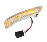 LED Davanti Destra Lato Specchio Giro Segnale Luce - 1pz Argento Tono