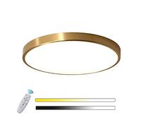 LED dimmerabile plafoniera oro Soggiorno moderno Camera da letto Lampada da soffitto Pannello interno lampadario tondo con telecomando Ultra sottile per ufficio Bagno Spogliatoio Illuminazione (60cm)