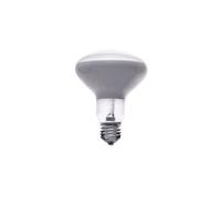 LED E27 13W 1180lm 220-240V 2700K R125 G.PLUX