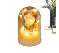 LED Eternal Rose Bouquet in a Cupola - Preserved Flower Night Lamp, Infinity Flower with Soft Light for Desk Decor | Romantic, Gift, Women, Mom, Wife, Girlfriend, Daughter, Grandma, Valentine