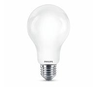 LED GOCCIA VETRO 150W E27 6500K NON DIM SMERIGLIATO