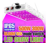 LED Grow Light Full Spectrum Quantum Board lampada per piante da interno semi di fiori idroponici serra coltivazione di scatole per la crescita delle verdure