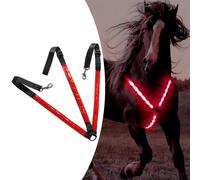 LED Horse Pettorale Collare Imbracatura Alta Visibilità Tack Light Webbing