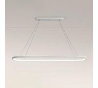 LED Long Strip Ring Shape Chandelier Pendant Light with Adjustable Height for Dining Room Bar Island And Living White 120cm