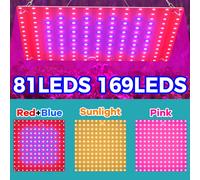 LED luce di crescita delle piante 220V spettro completo 40W Quantum Board Fill Lamp lampade idroponiche per la coltivazione delle piantine Flower Grow Lighting