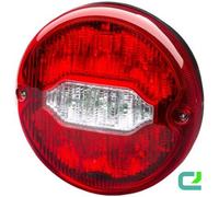 HELLA Luce posteriore compatibile con DAF WEIRO 2SD 013 155-111