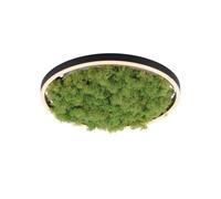 LED Plafoniera Rotondo D: 39,3 CM Vere Muschio 3000 K 2650 Lm Dimmerabile