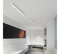 LED Rettangolo Lungo Plafoniera Alluminio Acrilico Moderno Interni Lampada da Soffitto Creatività Decorazione Plafoniere Lineare Design per Soggiorno Corridoio Balcone (Bianco Luce Neutra,100cm)