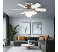 LED Soffitto Ventilatore Residenziale Camera Raffreddamento RGB Telecomando Big