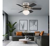 LED Soffitto Ventilatore Residenziale Camera Raffreddamento RGB Telecomando Big