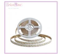 24V Striscia Led COB 6400K 10W/M 950LM/M IP20 5 Metri Larga 8mm SKU-212654