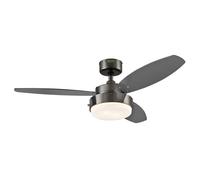 LED Ventilatore da Soffitto con Illuminazione Ø 107 CM Salotto Lampada